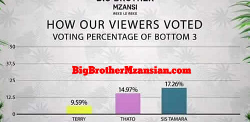 Big Brother Mzansi 2022 (Season 3) Week 9 Voting Results