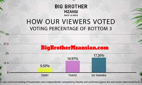 Big Brother Mzansi 2022 (Season 3) Week 9 Voting Results